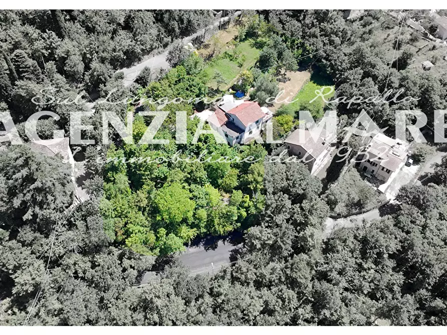 Immagine 5 di Casa trifamiliare in vendita  a Rapallo