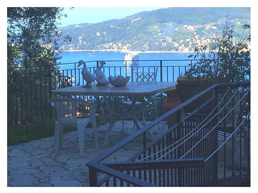 Immagine 2 di Quadrilocale in vendita  a Zoagli