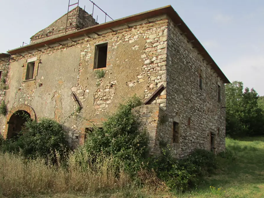 Immagine 15 di Rustico / casale in vendita  a Massa Martana