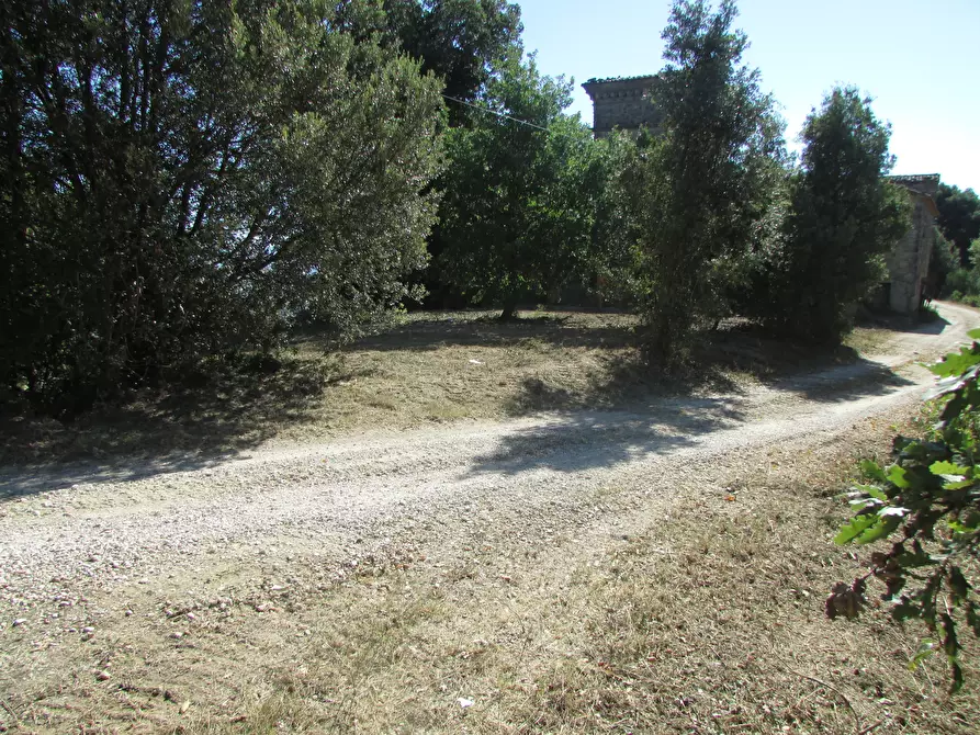 Immagine 17 di Rustico / casale in vendita  a Todi