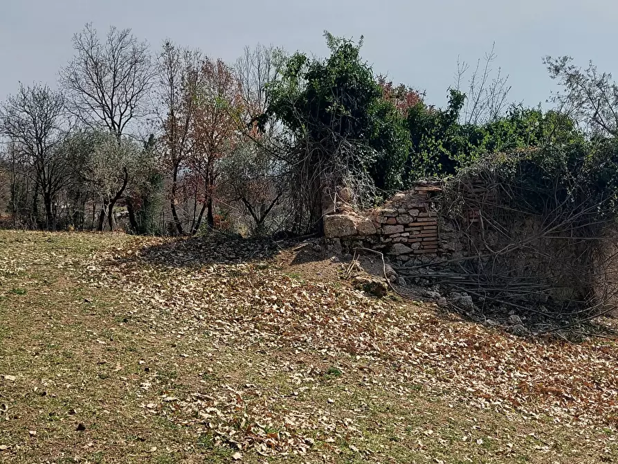 Immagine 14 di Terreno agricolo in vendita  a Massa Martana