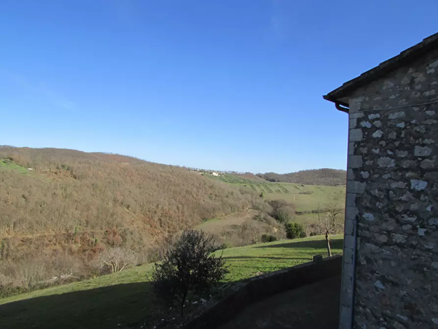 Immagine 6 di Rustico / casale in vendita  a Baschi