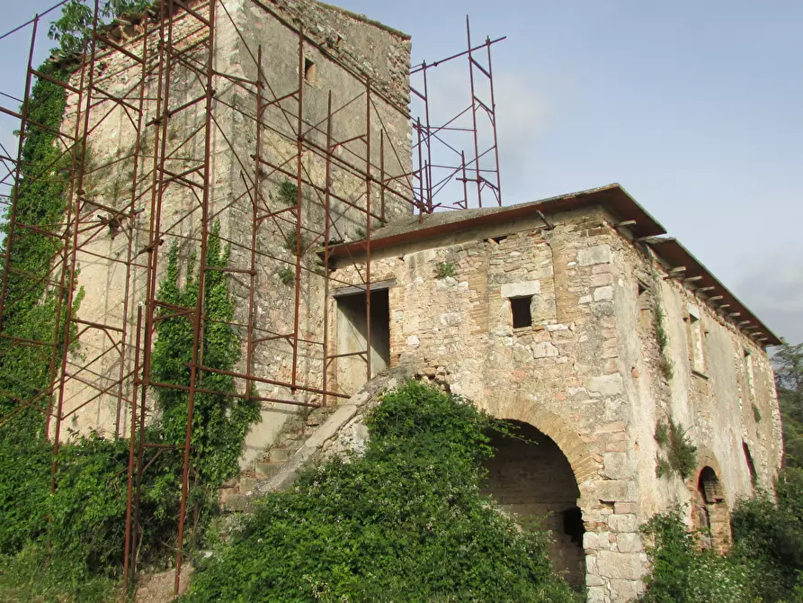 Immagine 5 di Rustico / casale in vendita  a Massa Martana