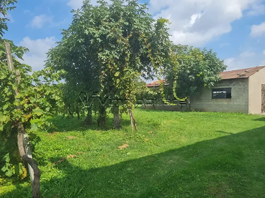 Immagine 9 di Casa trifamiliare in vendita  in Via Strada Pozzetto 20 a Albettone