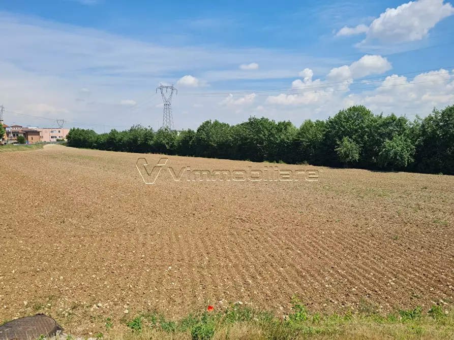 Immagine 5 di Terreno agricolo in vendita  in Via Cà Bassa a Albettone