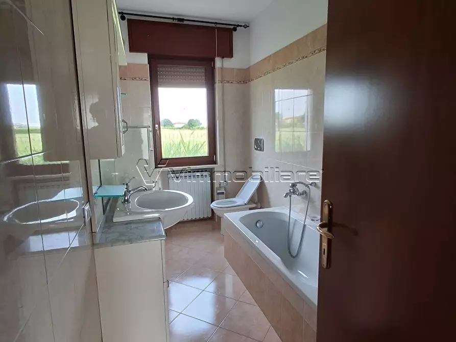 Immagine 14 di Casa bifamiliare in affitto  a Orgiano