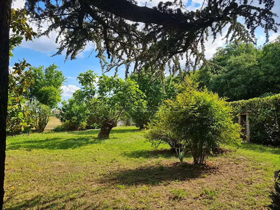Immagine 32 di Porzione di casa in vendita  in Via Cà Bassa 3 a Albettone
