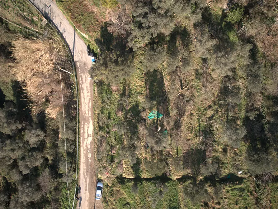 Immagine 5 di Terreno agricolo in vendita  in Via Marmorassi 75 a Savona