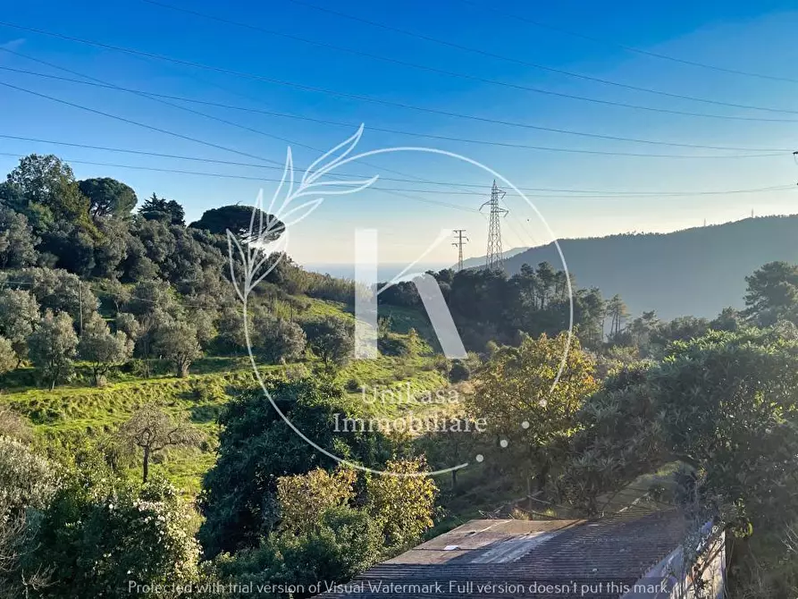 Immagine 12 di Terratetto in vendita  in San Nazario a Savona