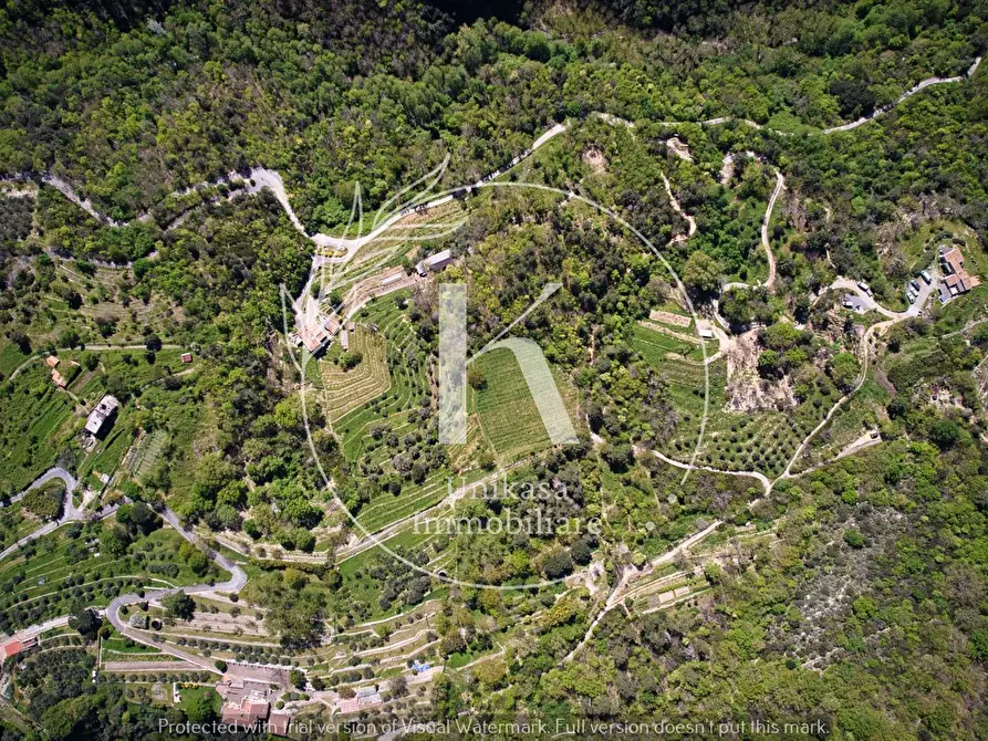 Immagine 30 di Rustico / casale in vendita  in Orco Feglino a Orco Feglino