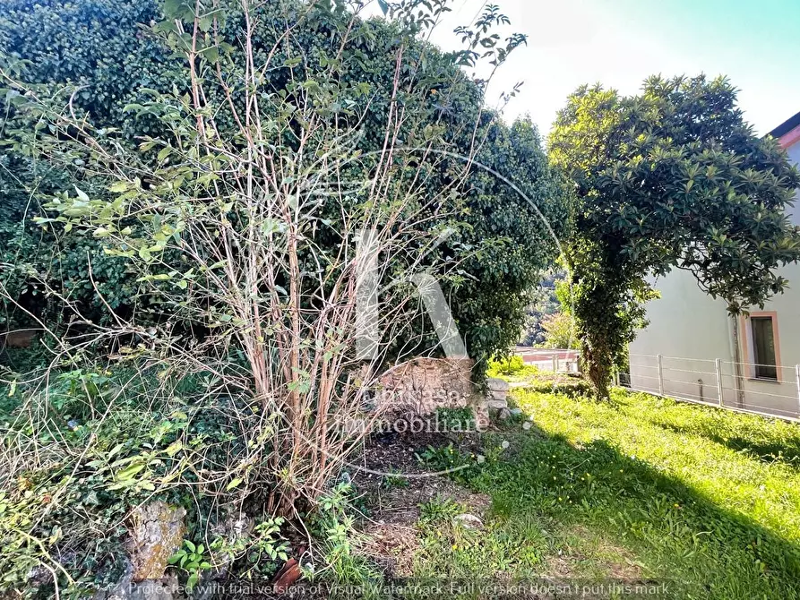 Immagine 10 di Rustico / casale in vendita  in Via Santa Margherita a Vado Ligure
