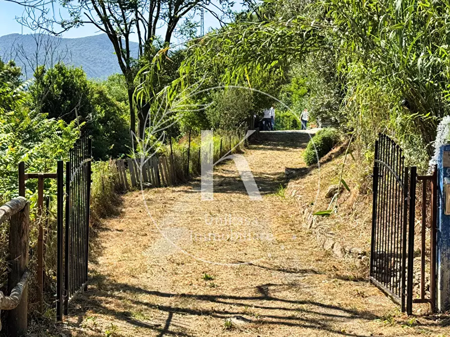Immagine 19 di Casa indipendente in vendita  in Località Mezzano 22 a Stella