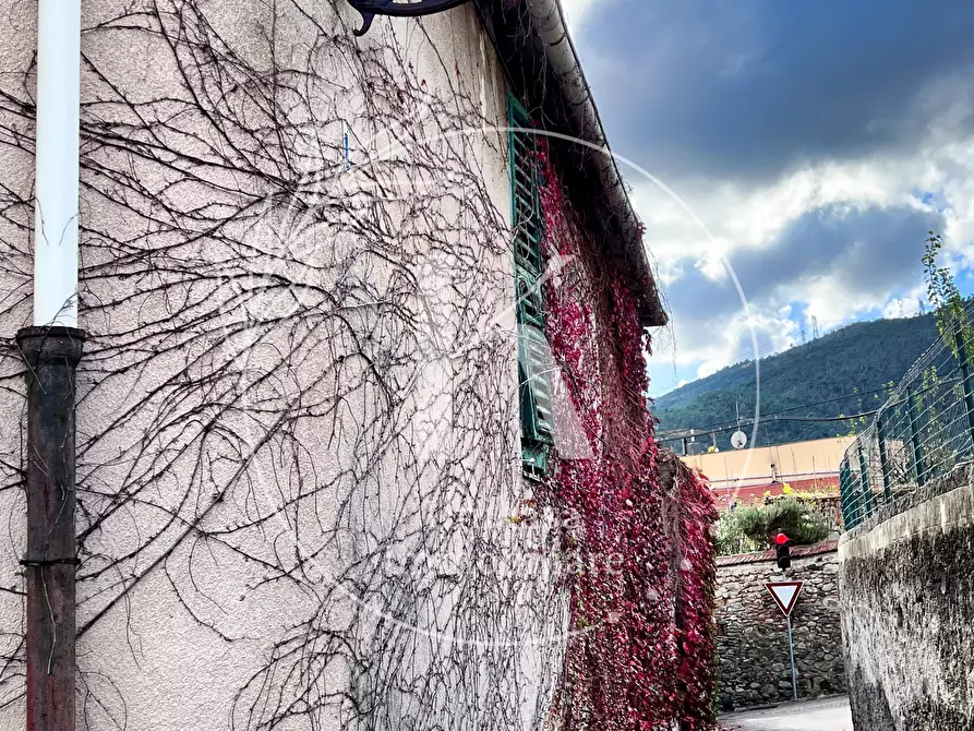 Immagine 44 di Terratetto in vendita  in Via San Rocco 2 a Quiliano