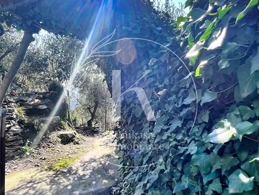 Immagine 39 di Villetta a schiera in vendita  in Via Vilmar 1 a Vezzi Portio