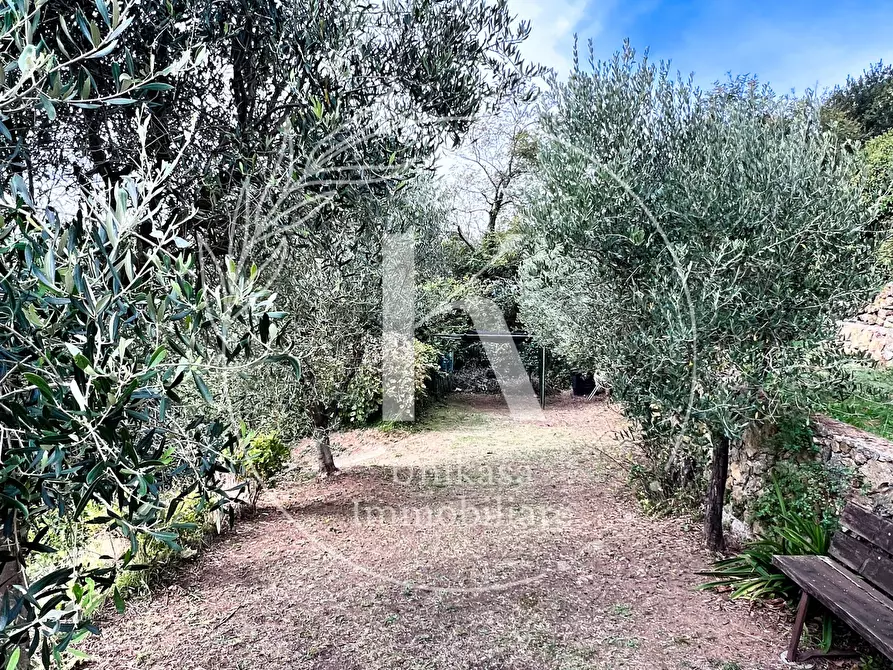 Immagine 19 di Casa indipendente in vendita  in Via Ciantagalletto a Savona