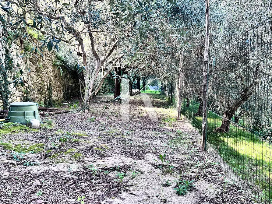 Immagine 60 di Villa in vendita  in Via per Calice a Finale Ligure