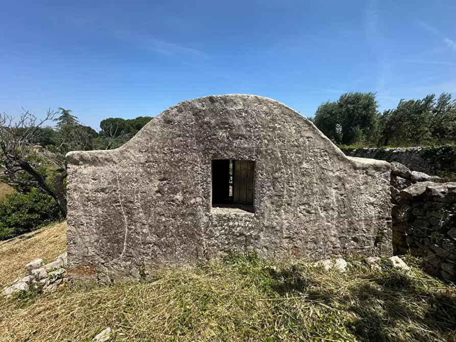 Immagine 12 di Villa in vendita  in Contrada Fantese 38 a Ostuni
