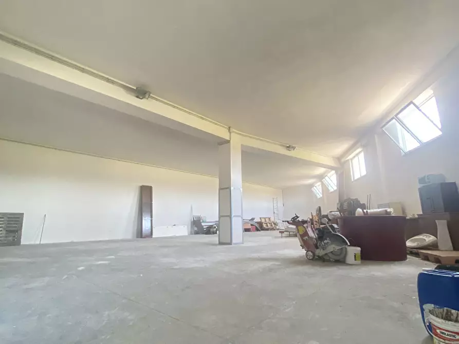 Immagine 22 di Azienda agricola in vendita  in Strada Statale 16 Adriatica 105 a Ostuni