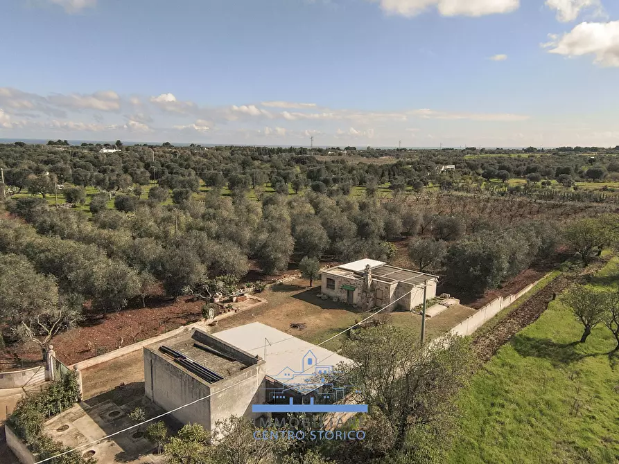 Immagine 6 di Villa in vendita  in contrada sierri a Carovigno