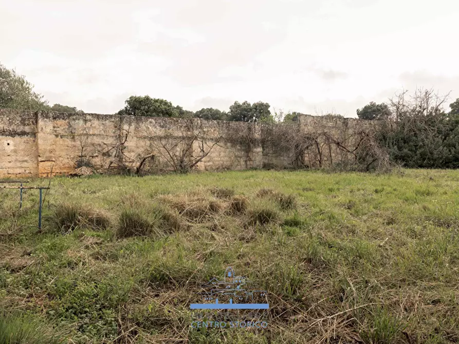 Immagine 8 di Rustico / casale in vendita  in sp 19 a Ostuni
