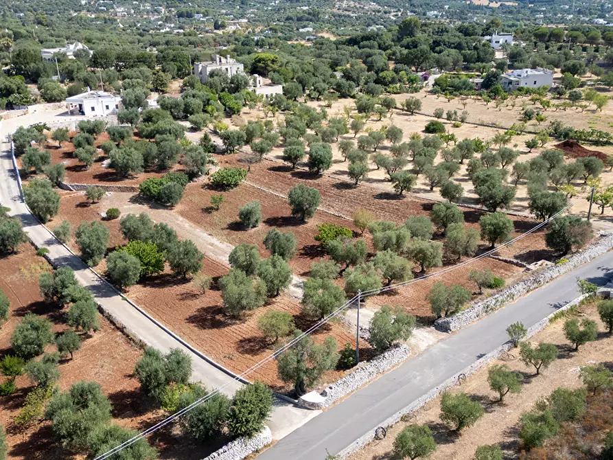 Immagine 4 di Villa in vendita  in Via Provinciale Martina Franca a Ostuni