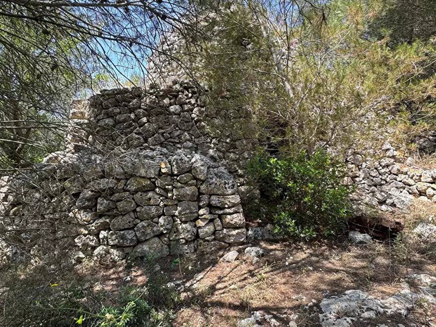 Immagine 28 di Casa indipendente in vendita  in santuario san biagio a Ostuni