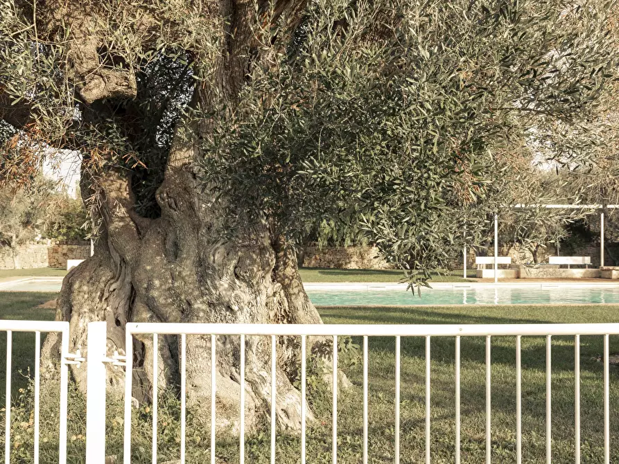 Immagine 54 di Villa in vendita  in Strada Provinciale 46 a San Vito Dei Normanni