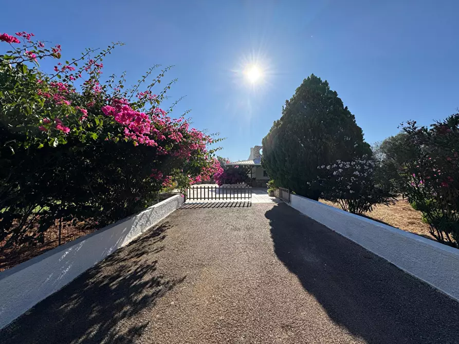 Immagine 11 di Villa in vendita  in Strada Provinciale 29 a Ceglie Messapico