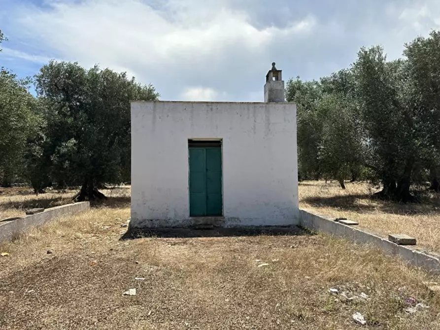 Immagine 2 di Terreno edificabile in vendita  in Contrada Boccadoro a Ostuni