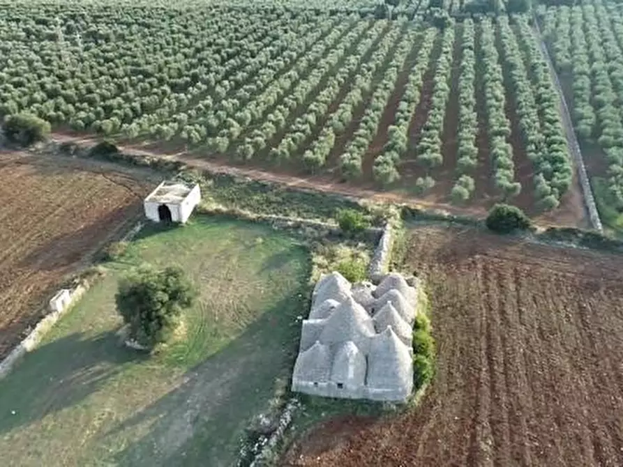 Immagine 3 di Casa indipendente in vendita  in Strada Statale 16 Adriatica a Ostuni