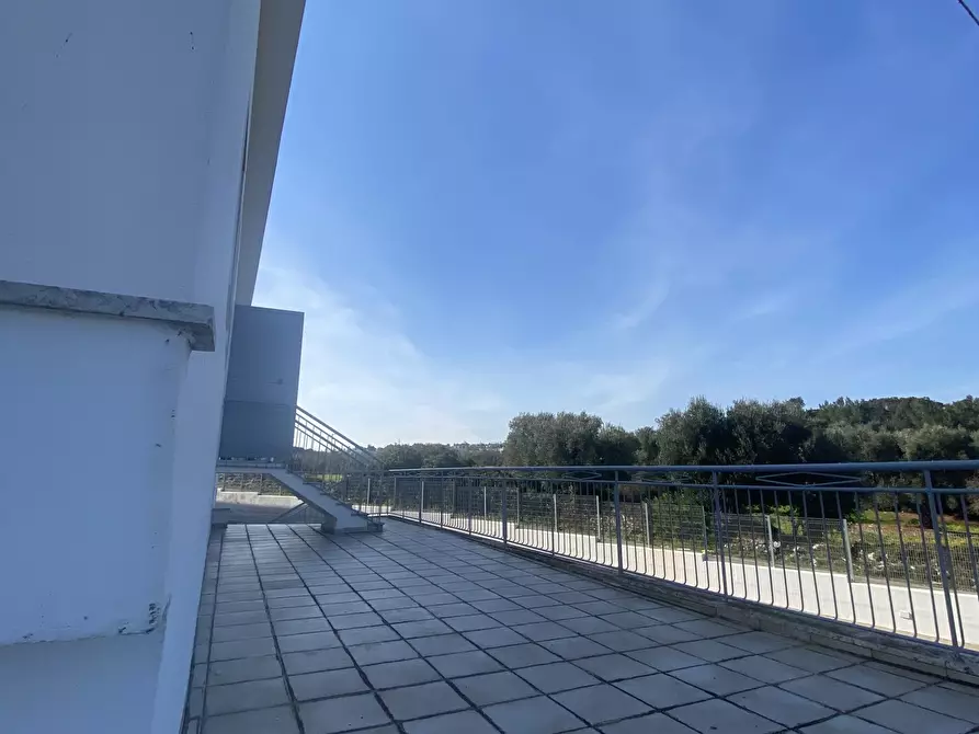 Immagine 14 di Azienda agricola in vendita  in Strada Statale 16 Adriatica 105 a Ostuni