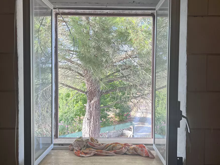 Immagine 17 di Rustico / casale in vendita  in Strada Provinciale 14 4 a Ostuni