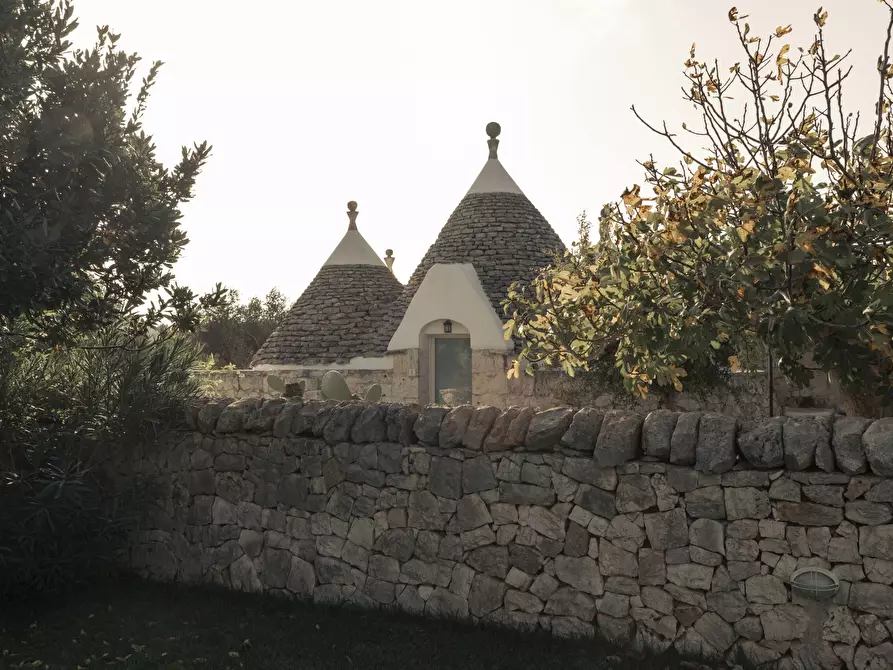 Immagine 25 di Villa in vendita  in Strada Provinciale 46 a San Vito Dei Normanni