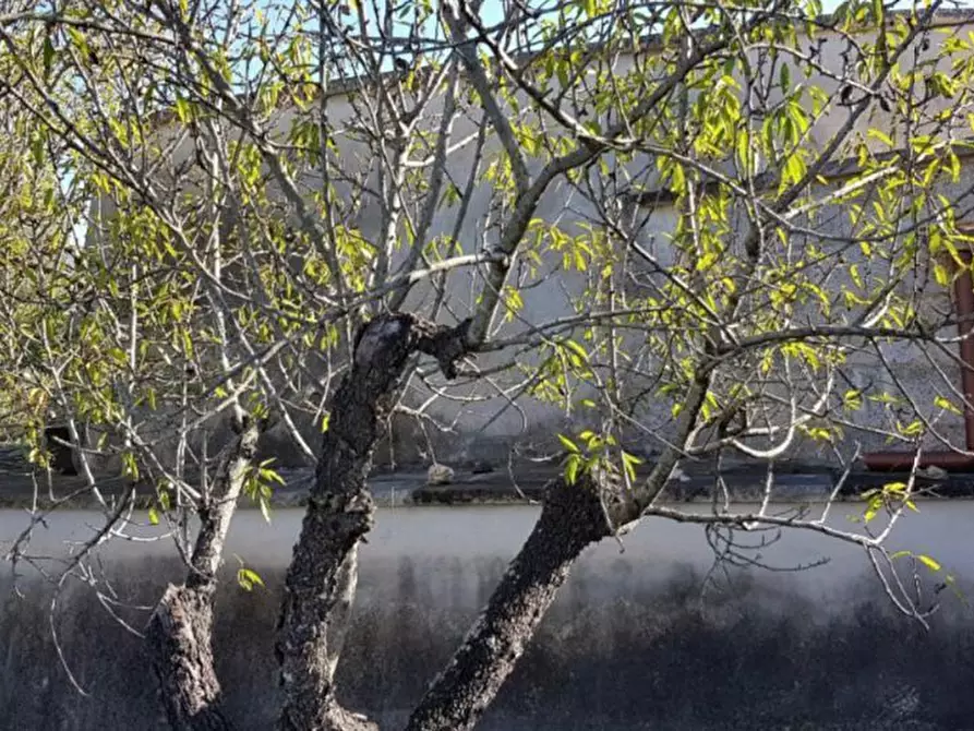 Immagine 16 di Casa indipendente in vendita  in Contrada Le Camere a Ostuni