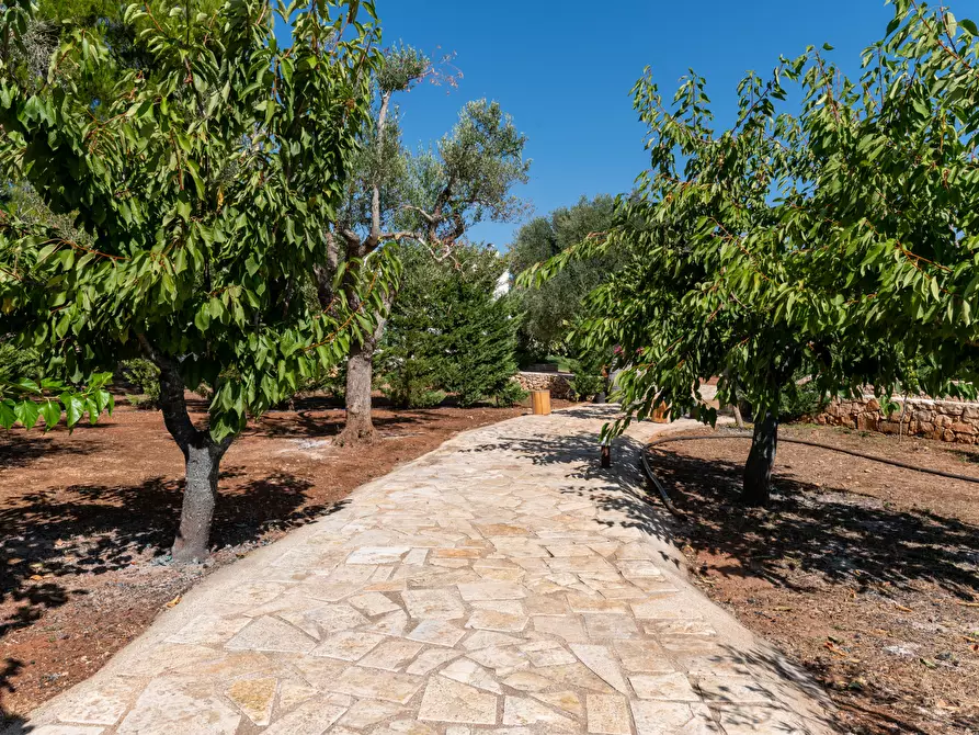 Immagine 7 di Villa in vendita  in contrada augelluzzi a San Michele Salentino