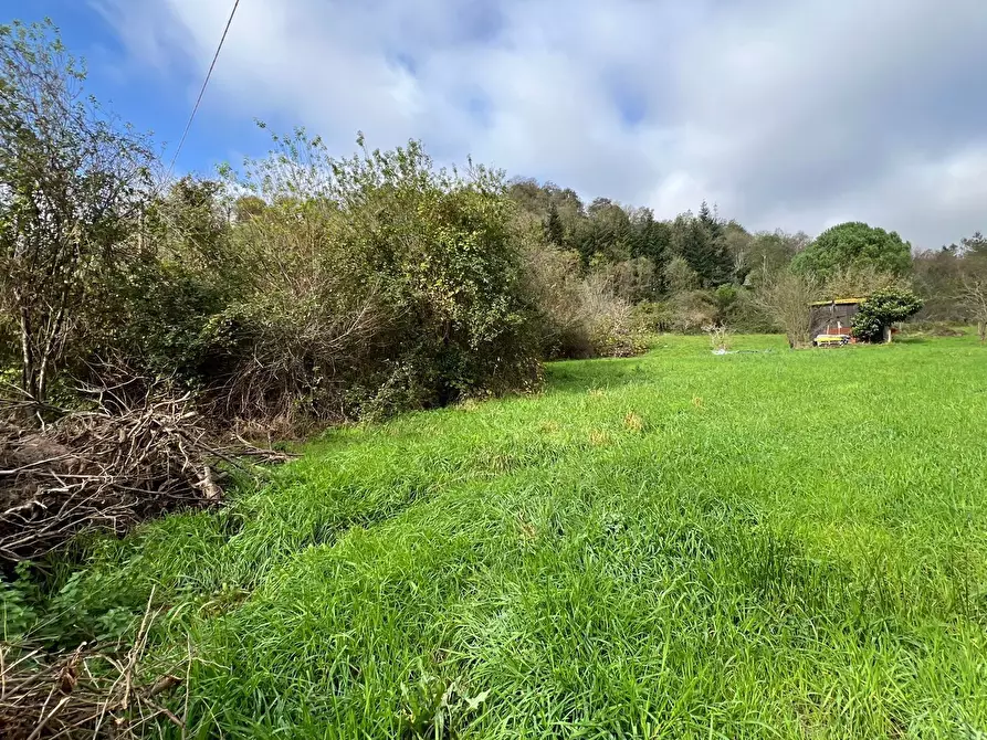 Immagine 19 di Terratetto in vendita  a Stella