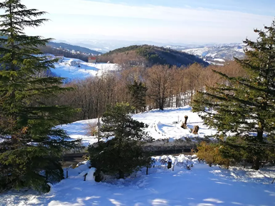 Immagine 7 di Quadrilocale in vendita  a Sassello