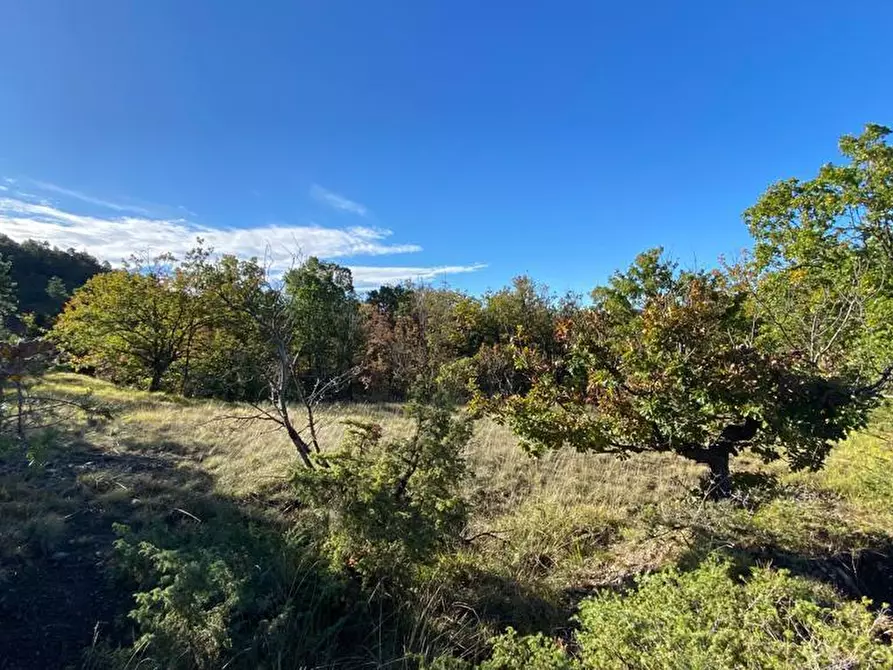 Immagine 14 di Rustico / casale in vendita  in Loc Ormei a Ponzone
