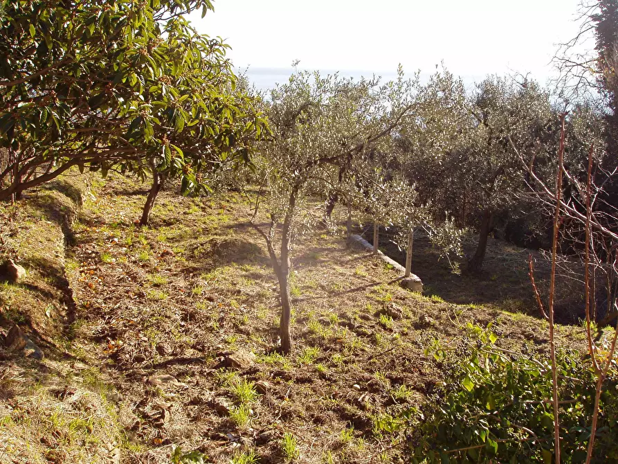 Immagine 8 di Villa in vendita  a Varazze