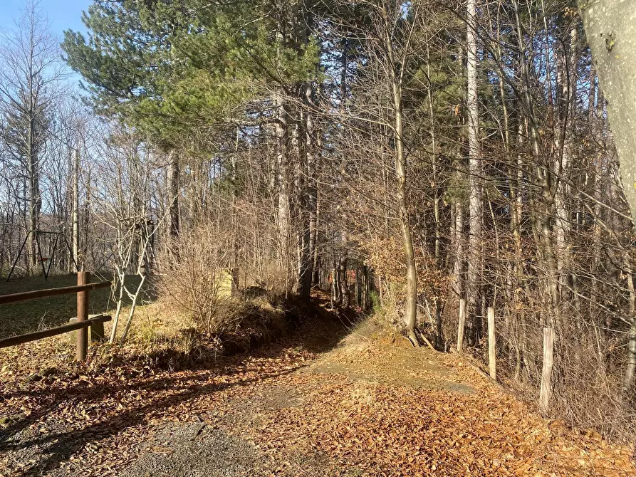 Immagine 10 di Casa indipendente in vendita  a Urbe
