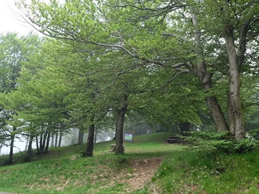 Immagine 4 di Albergo/B&B/Residence in vendita  a Cogoleto