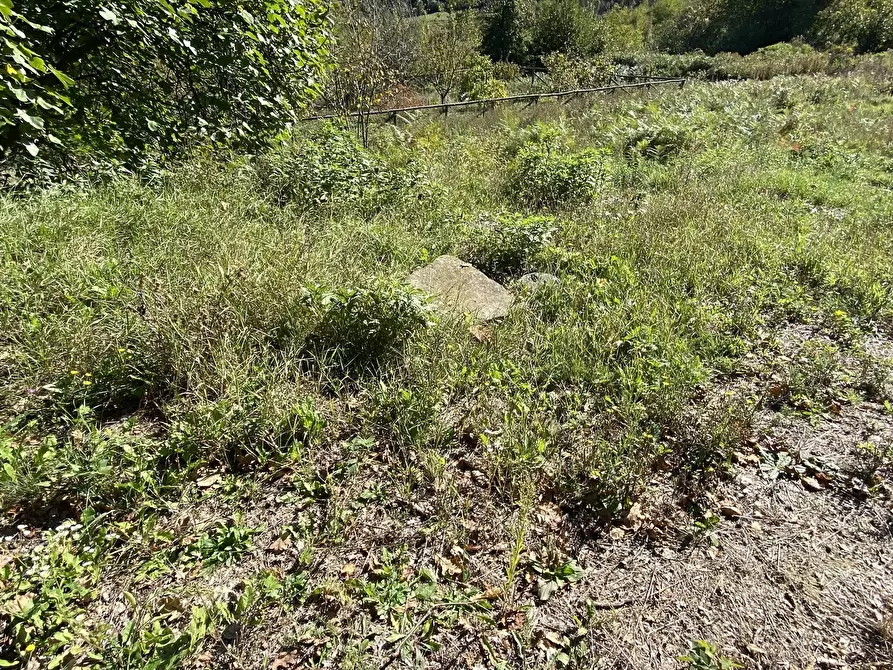 Immagine 20 di Terratetto in vendita  a Dego