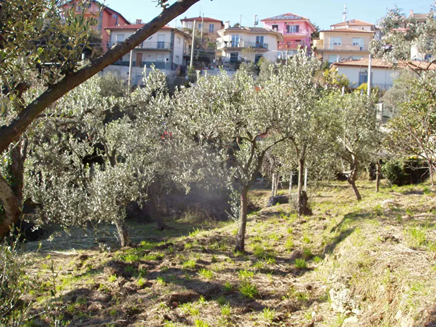 Immagine 15 di Villa in vendita  a Varazze