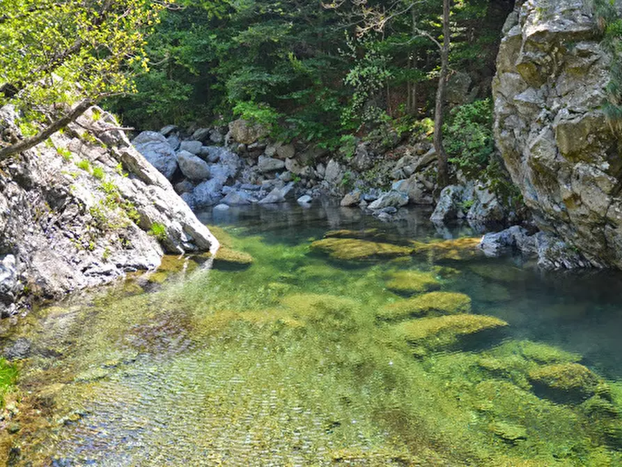 Immagine 36 di Rustico / casale in vendita  in Via Dano a Sassello