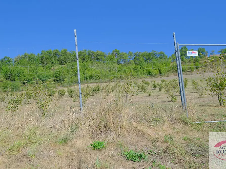 Immagine 19 di Rustico / casale in vendita  in regione Pianlago 110 a Ponzone