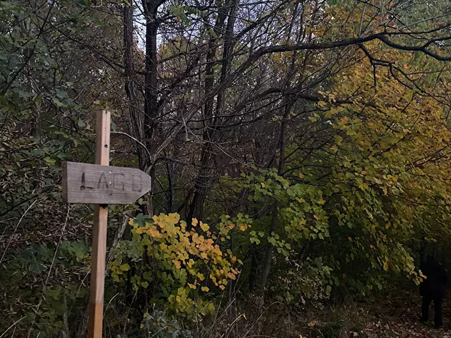 Immagine 26 di Rustico / casale in vendita  a Sassello