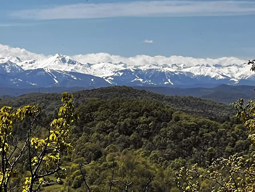 Immagine 2 di Rustico / casale in vendita  in Corso Bovio 2 a Giusvalla