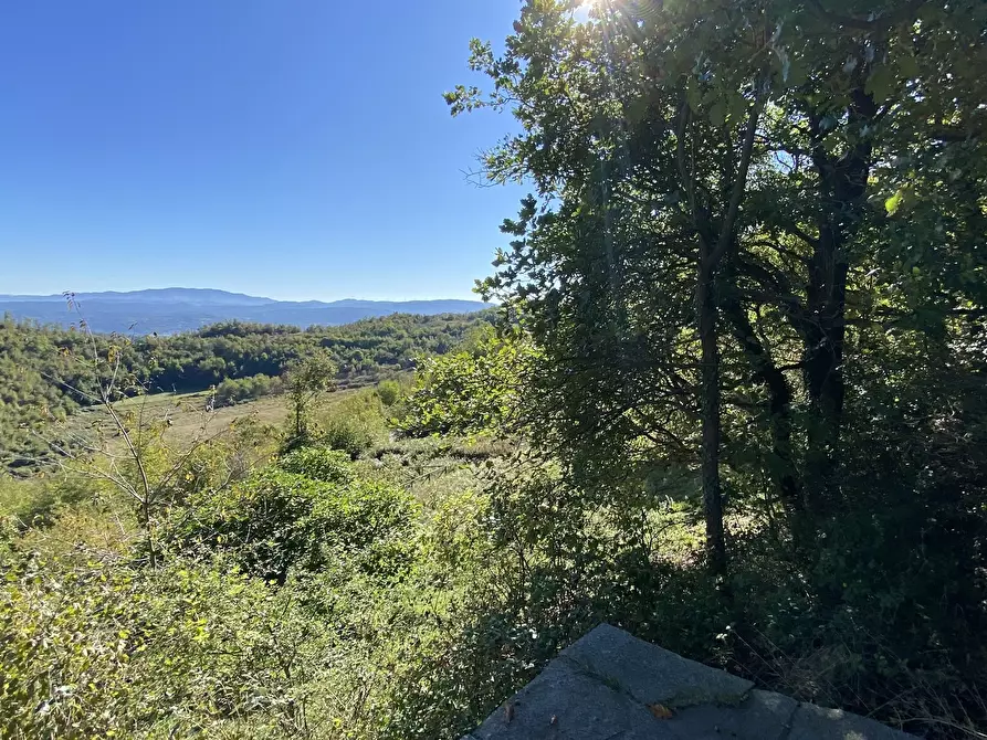 Immagine 31 di Terratetto in vendita  a Dego