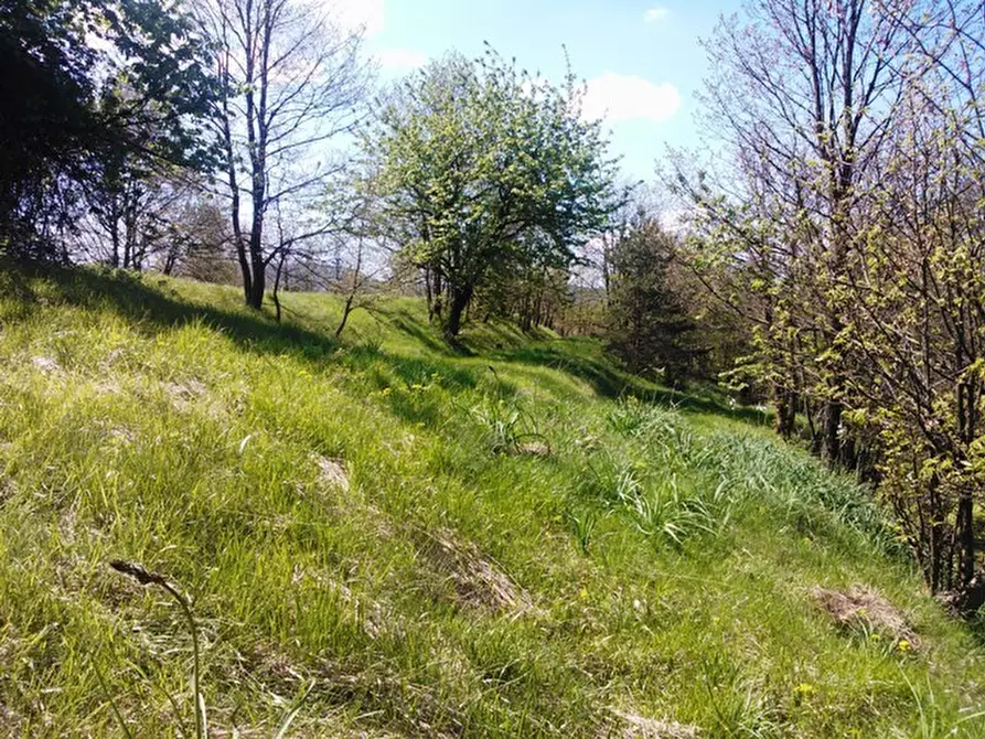 Immagine 17 di Rustico / casale in vendita  a Giusvalla