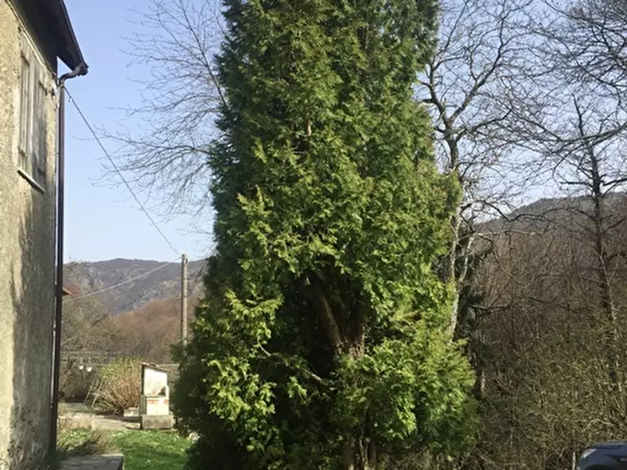 Immagine 4 di Porzione di casa in vendita  a Sassello